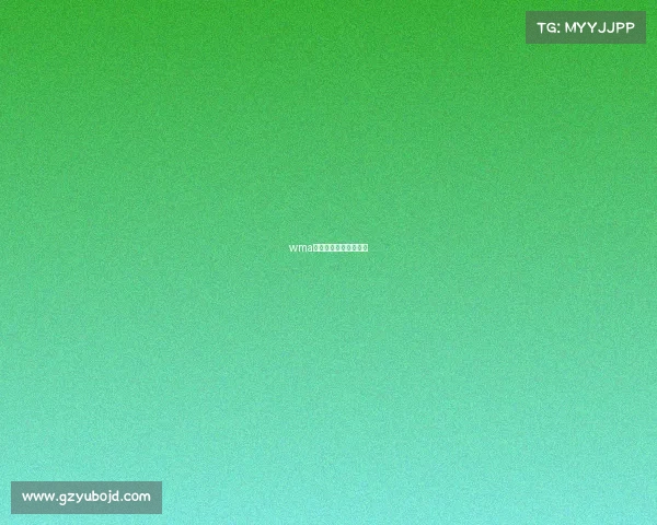 wma中国武术职业联赛比赛